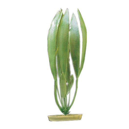 53177970983241_image1