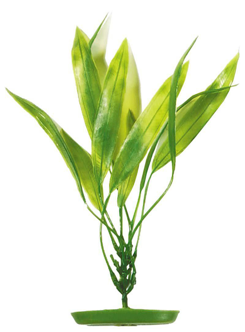 53177971048777_image1