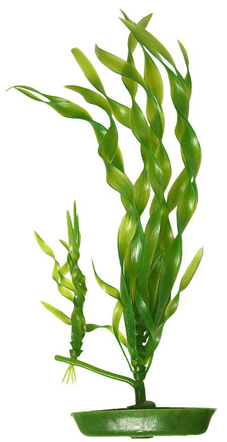 53175564370249_image1