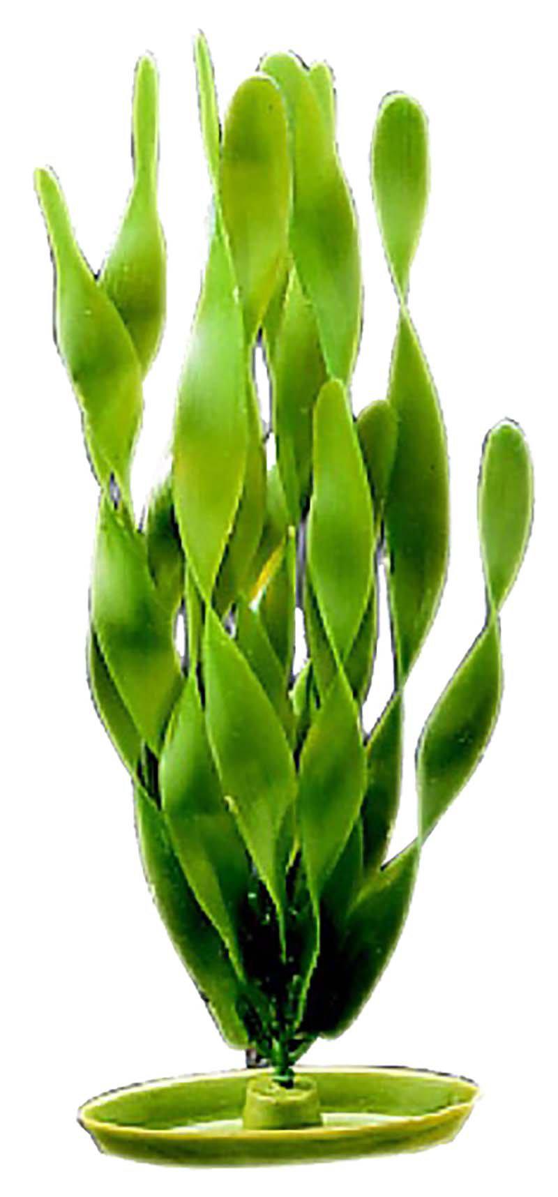 53178233487689_image1