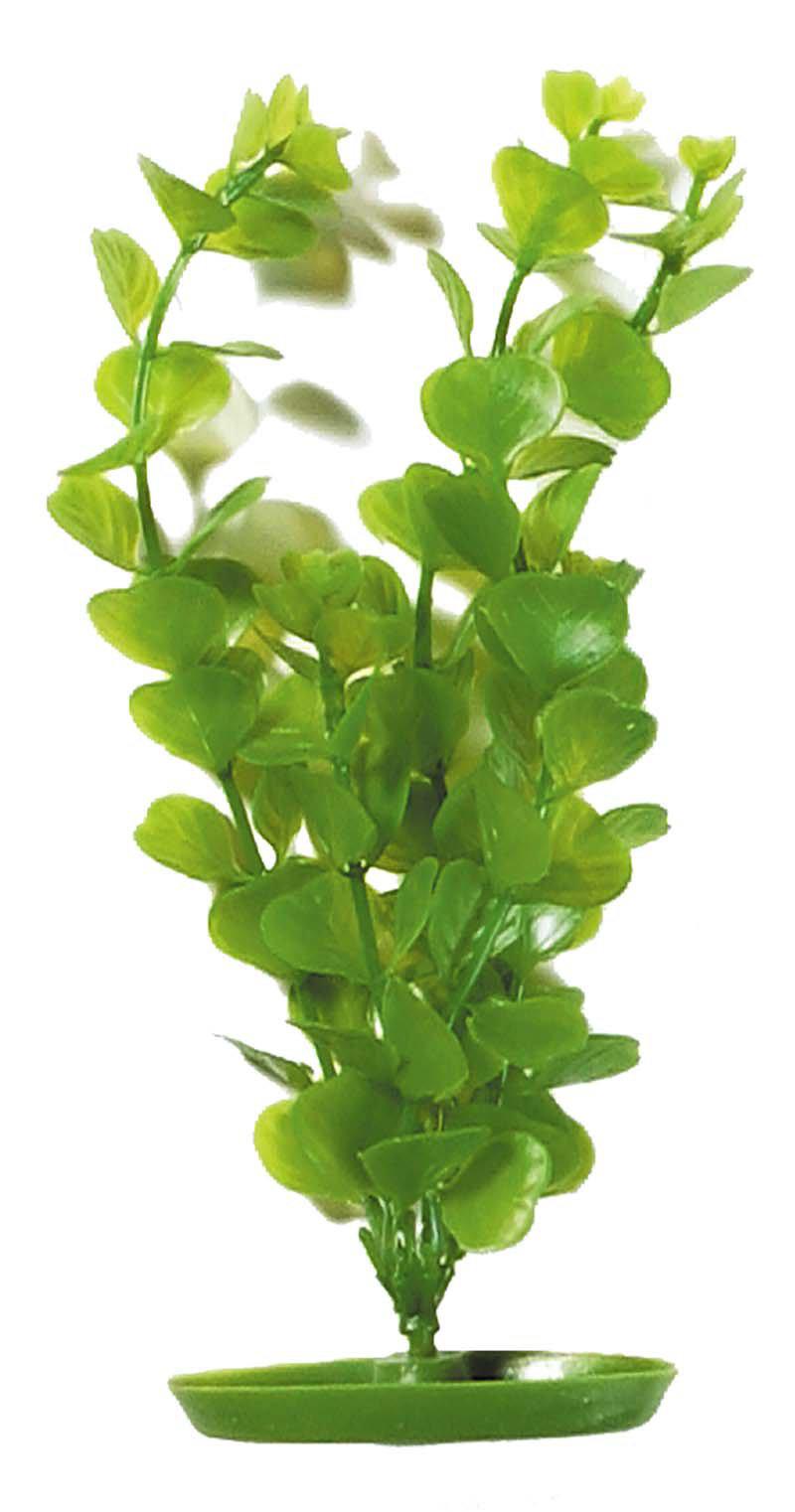 53178549698889_image1