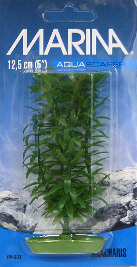 53180009447753_image1