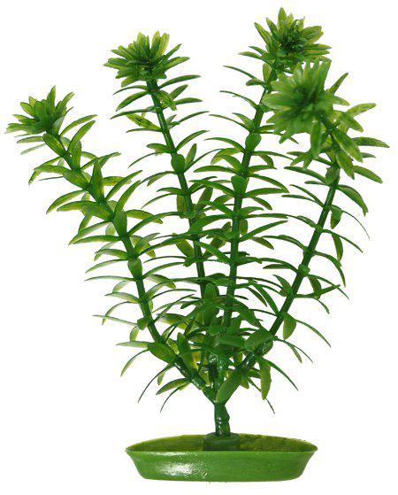 53180009513289_image1