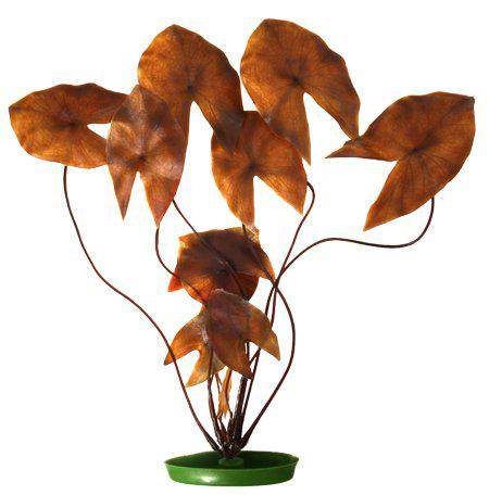 53177663357257_image1