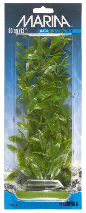 53178055983433_image1