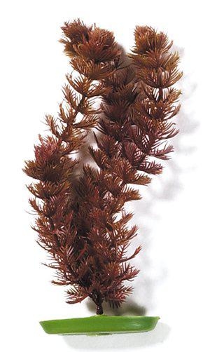 53175941857609_image1