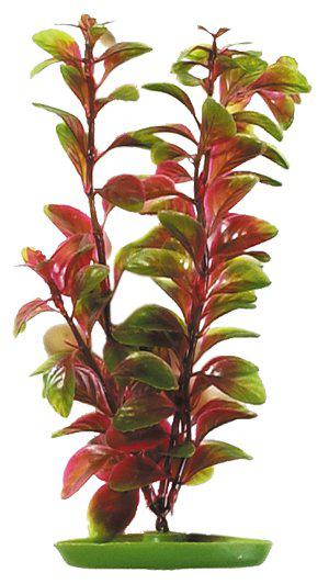 53178470269257_image1