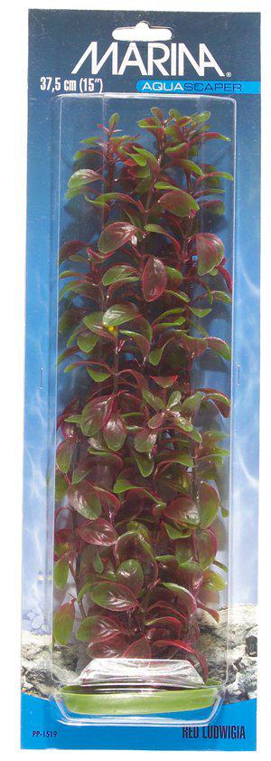 53178470302025_image1