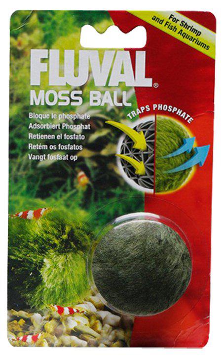 53178562150729_image1