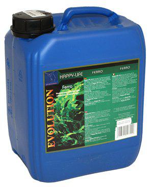 53266403492169_image1