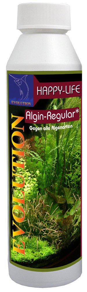 53178567557449_image1