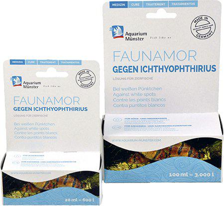 53178394771785_image1