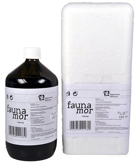 53178394804553_image1