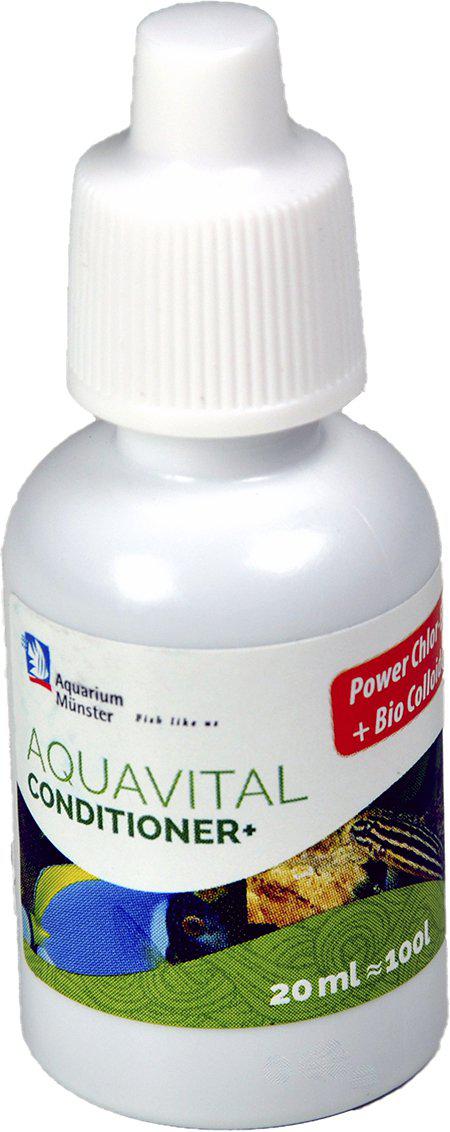 53178388316489_image1