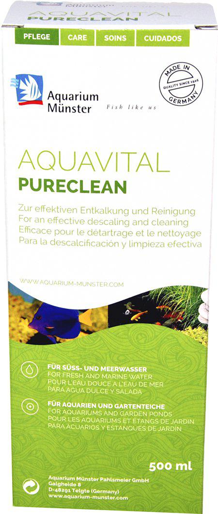 53174336749897_image1