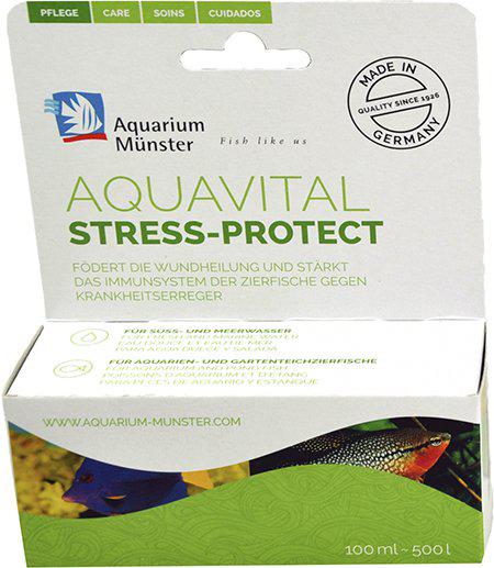 53174057533769_image1