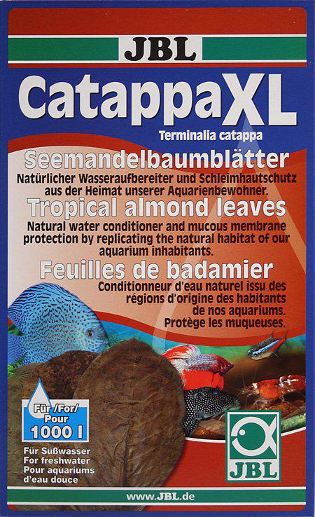 53174585229641_image1