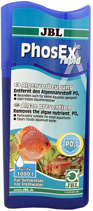 53175379394889_image1