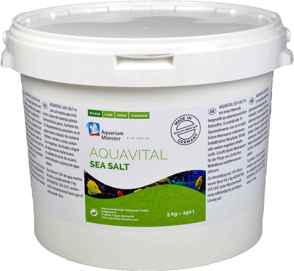 53174253355337_image1