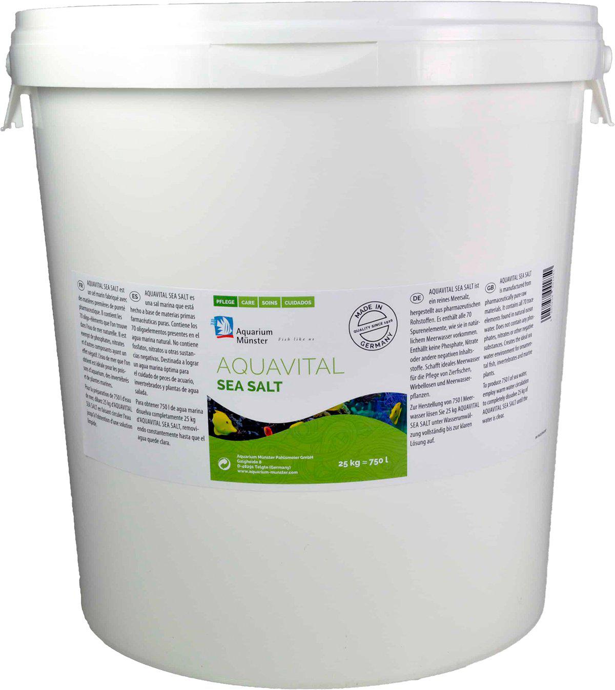 53174253420873_image1