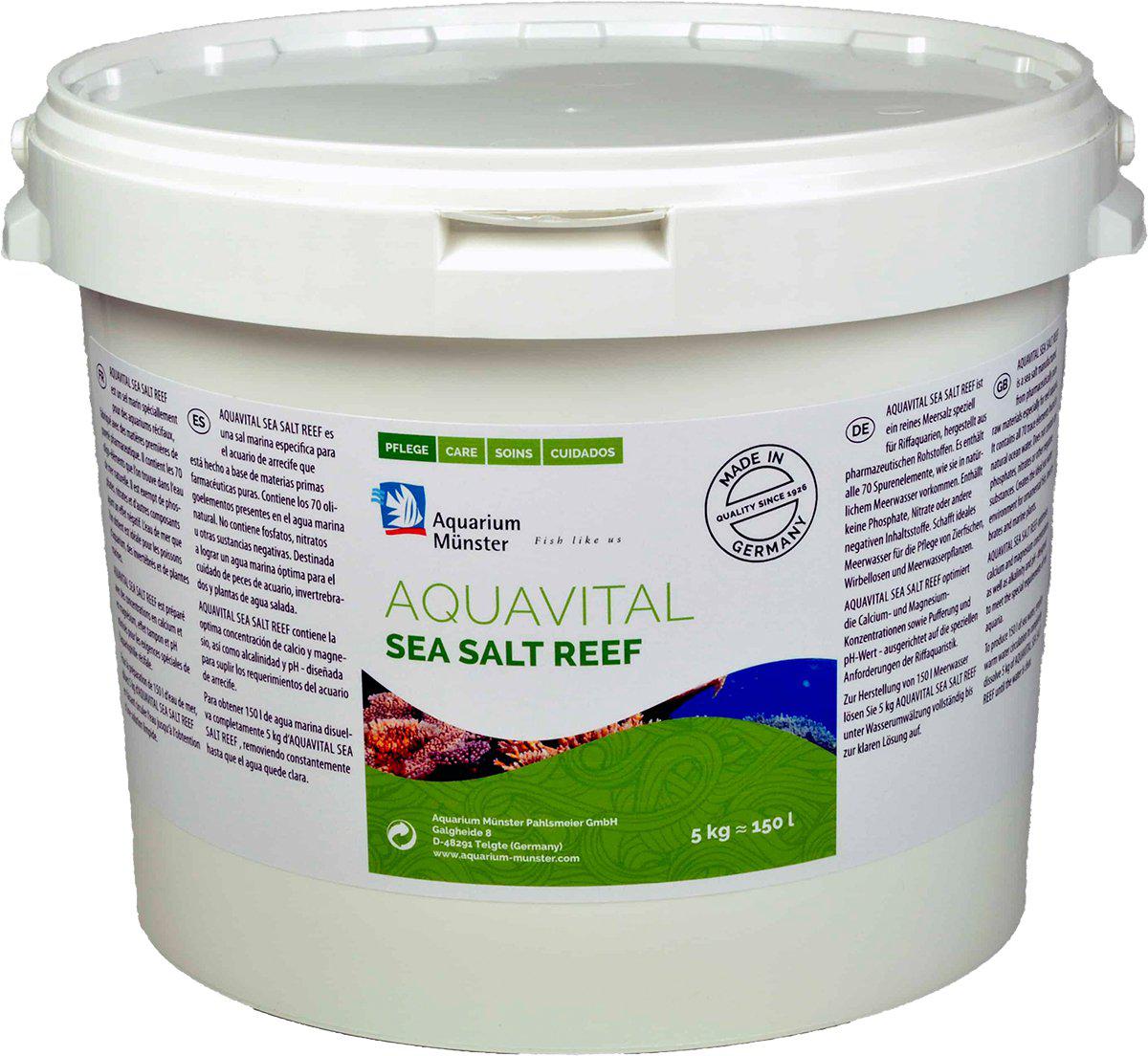 53178889863497_image1