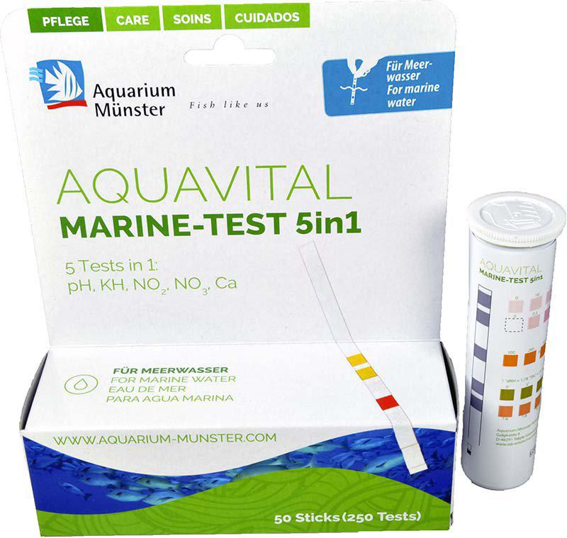 53174076211529_image1