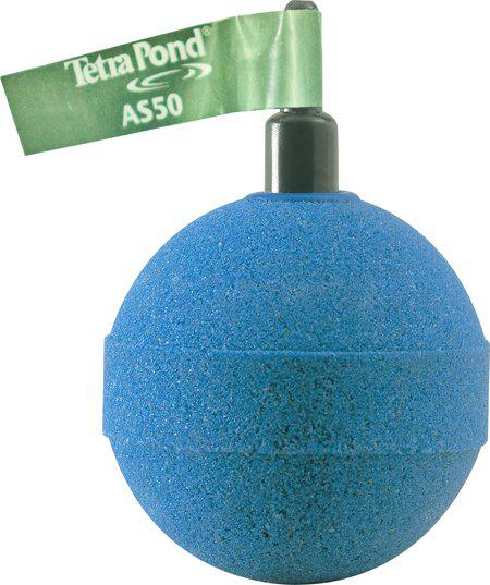 53176627626313_image1