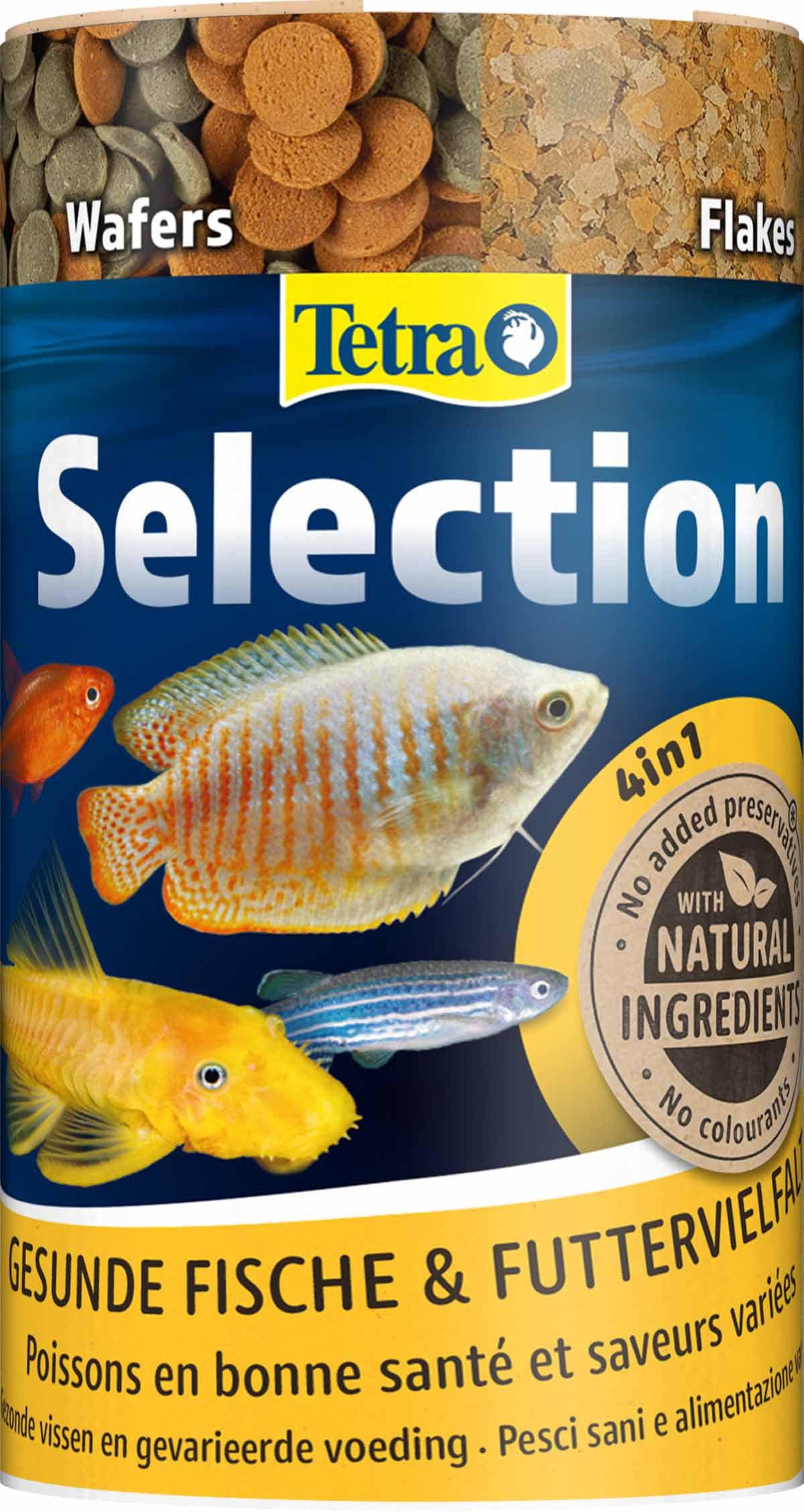 53179998175561_image1