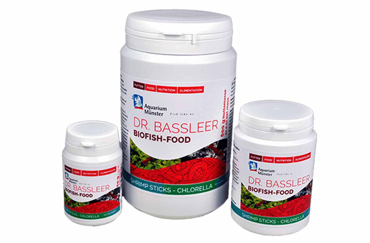 53174548758857_image1