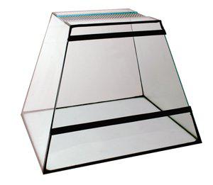 53178780713289_image1