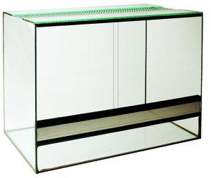 53266448810313_image1