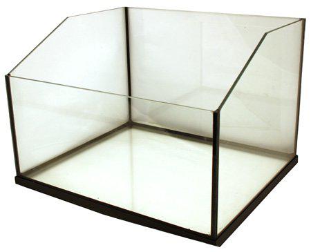 53177547030857_image1