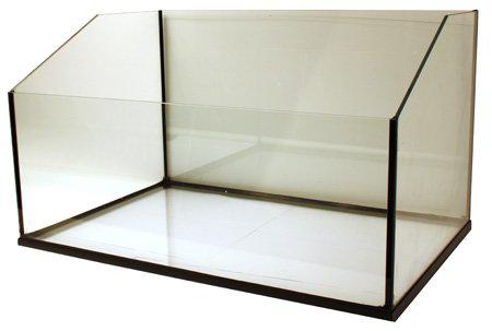 53266485543241_image1