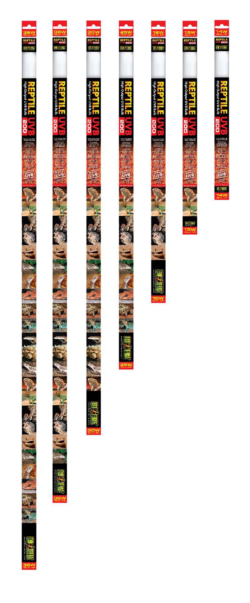 53266666520905_image1