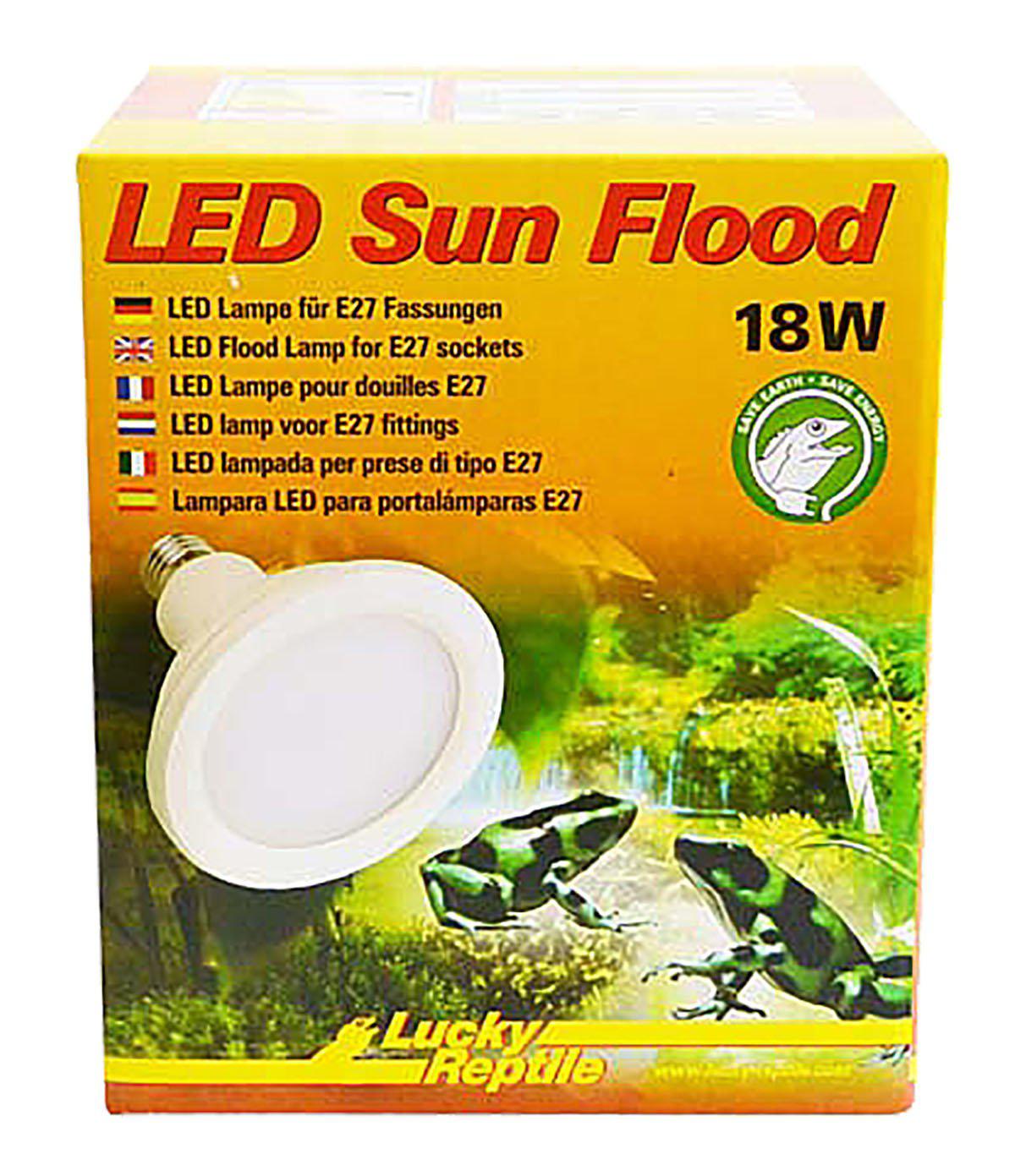 53174182052169_image1