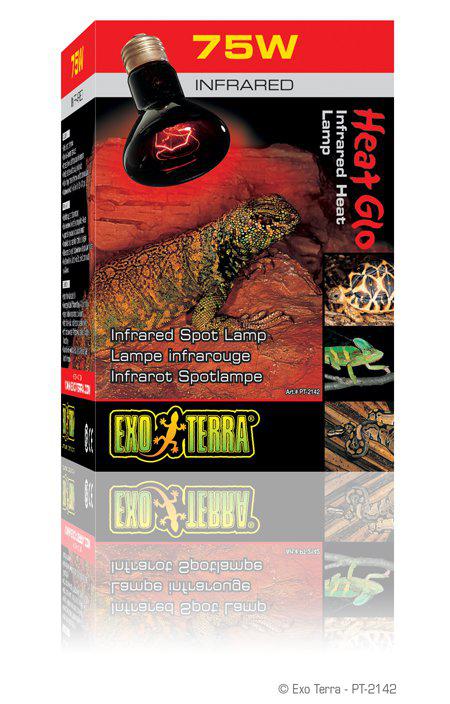 53195340611913_image1