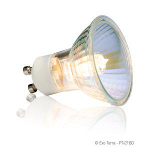 220.2835_image2