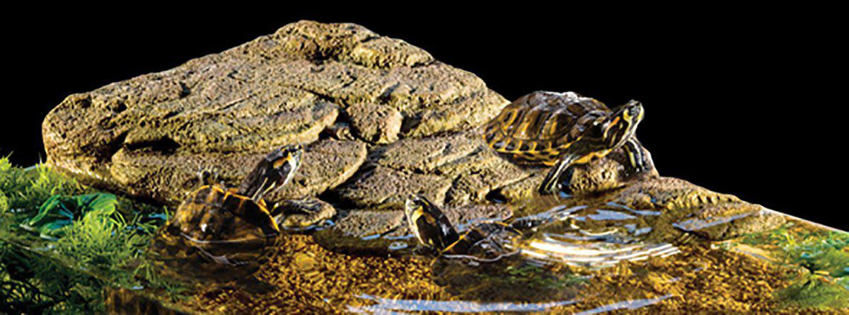 222.2610_image4