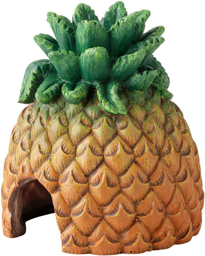 PetPal