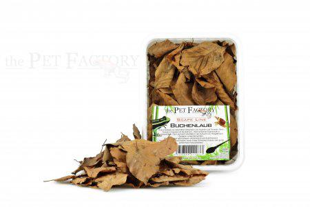 53174133522761_image1