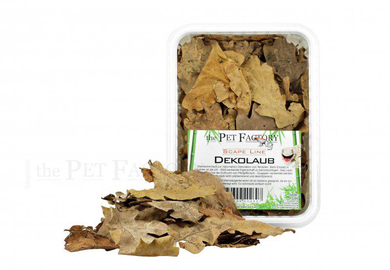 53175835296073_image1