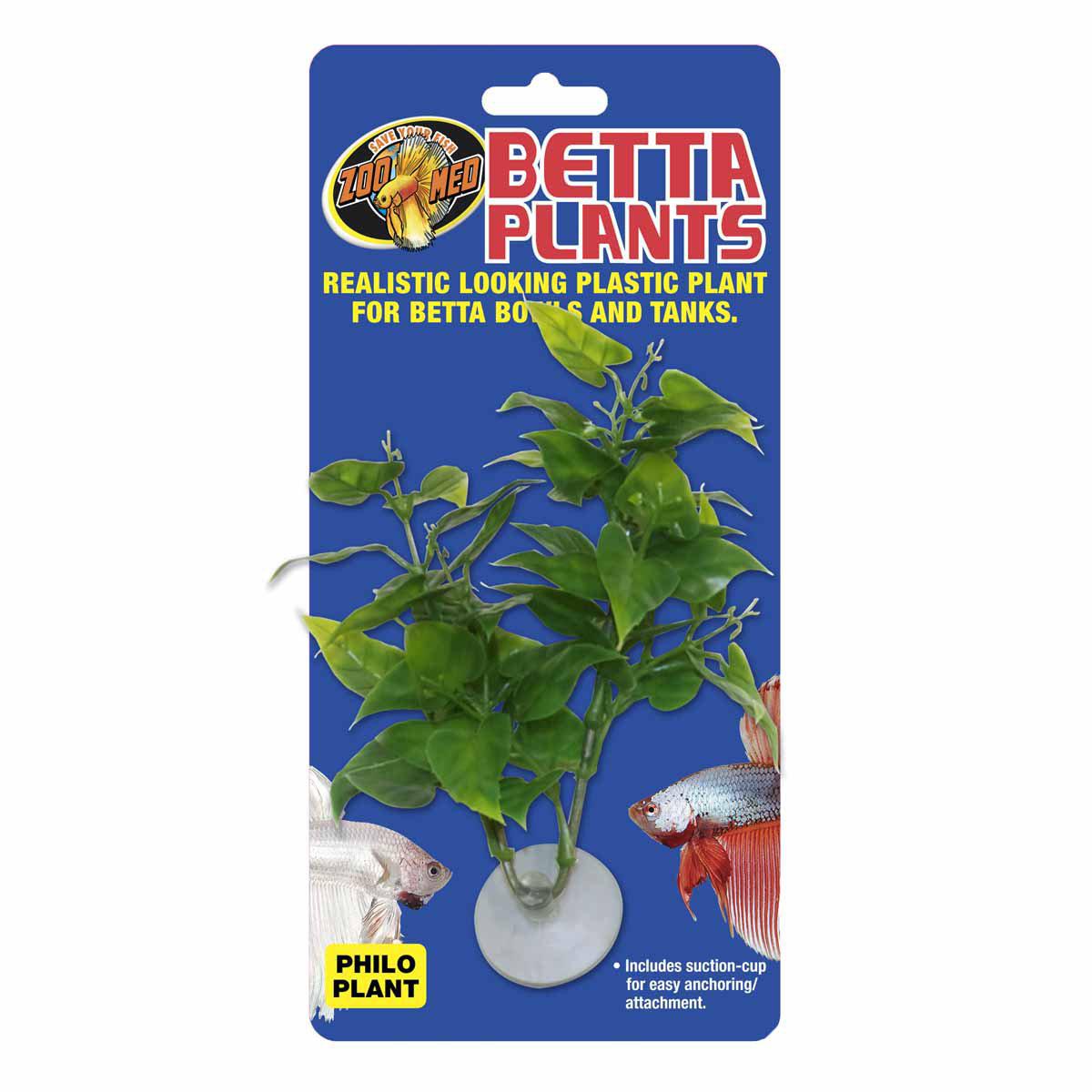 53178796638537_image1