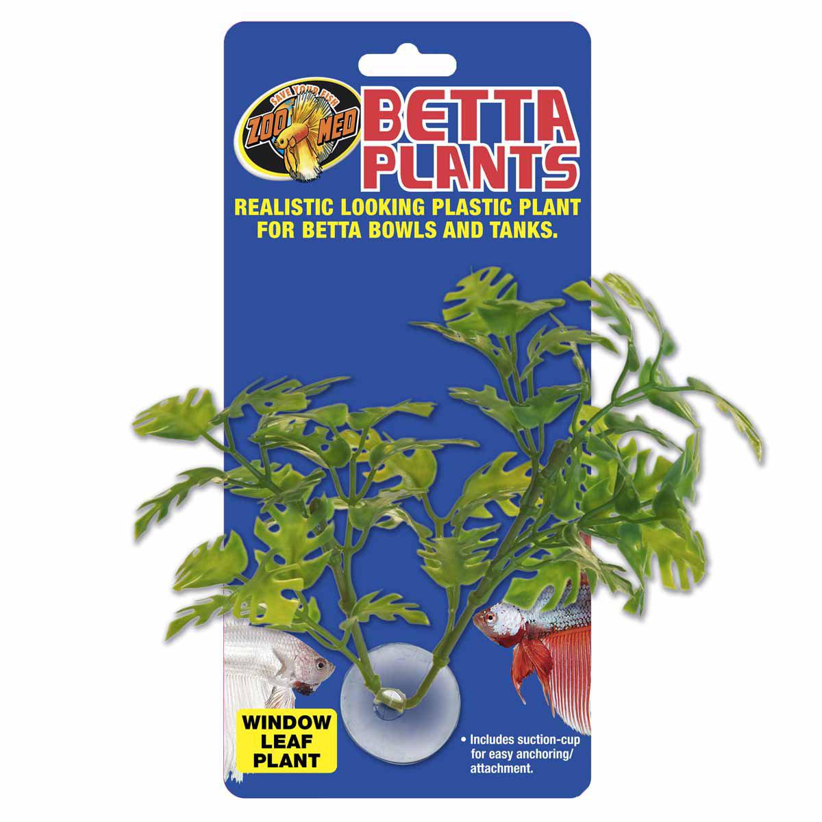 53173703213385_image1