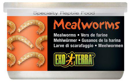 53178547568969_image1