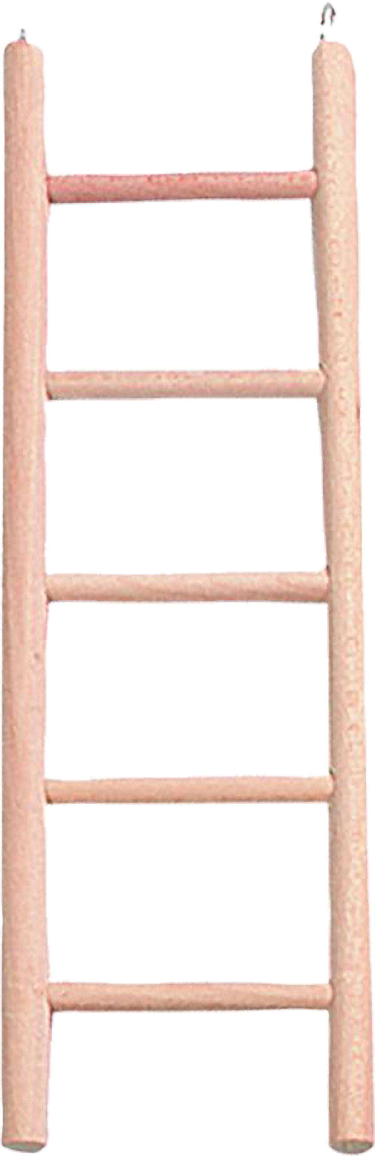 53177058263369_image1