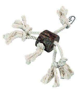 53175684202825_image1