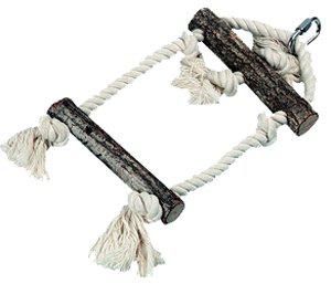 53177687408969_image1