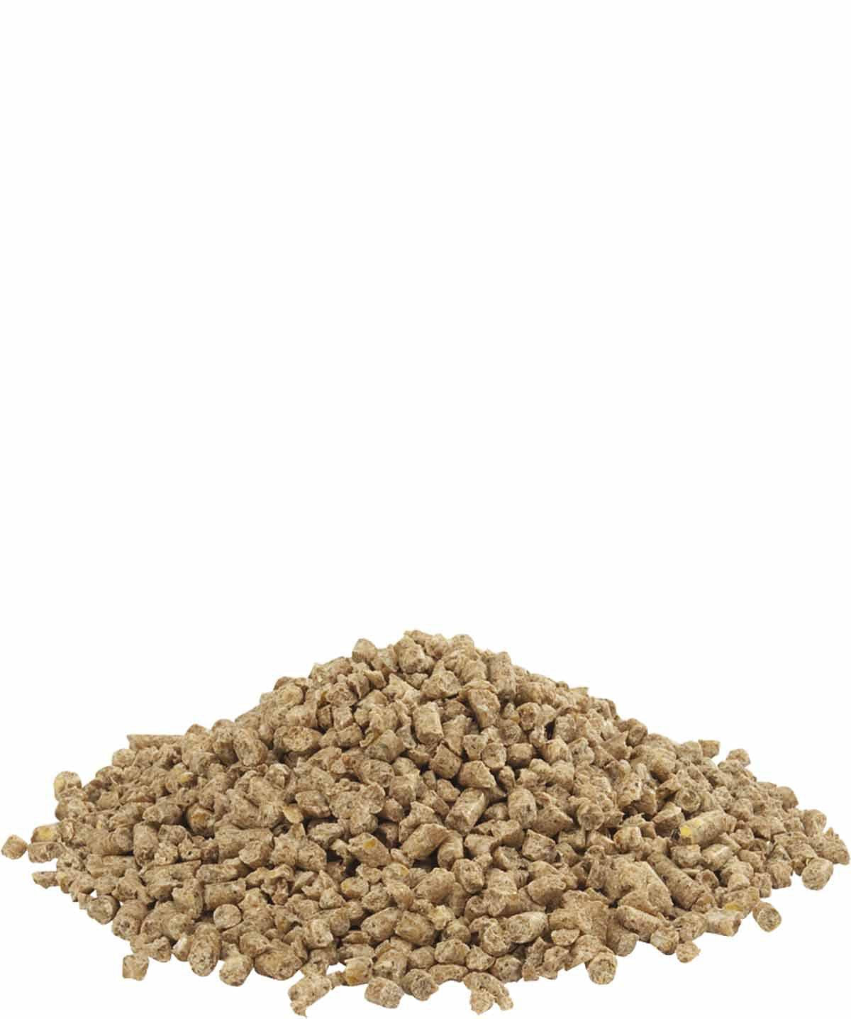 376.0064_image2