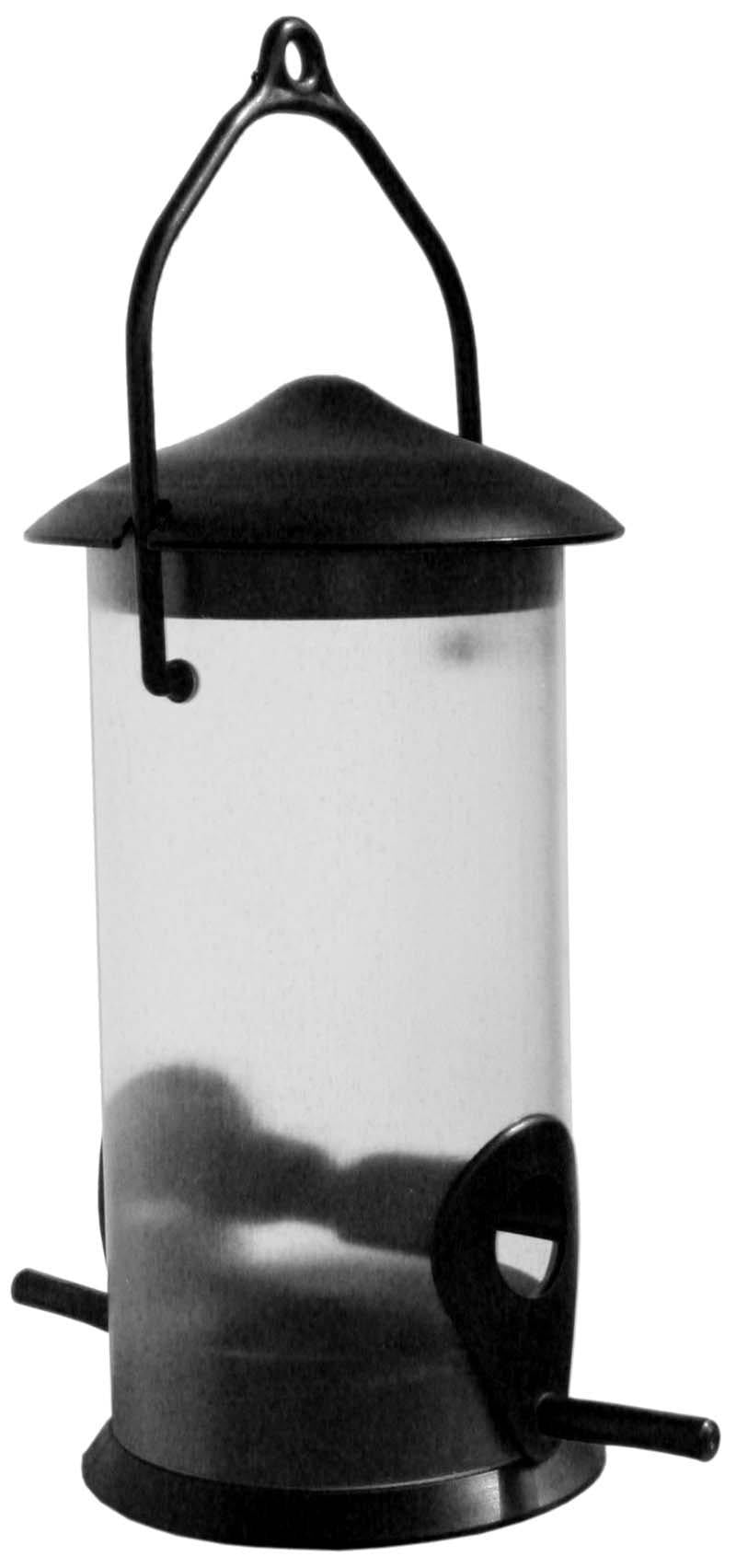 53266600984905_image1