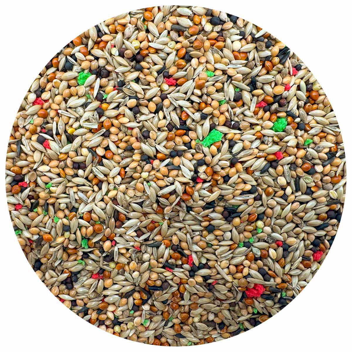 53456464544073_image1